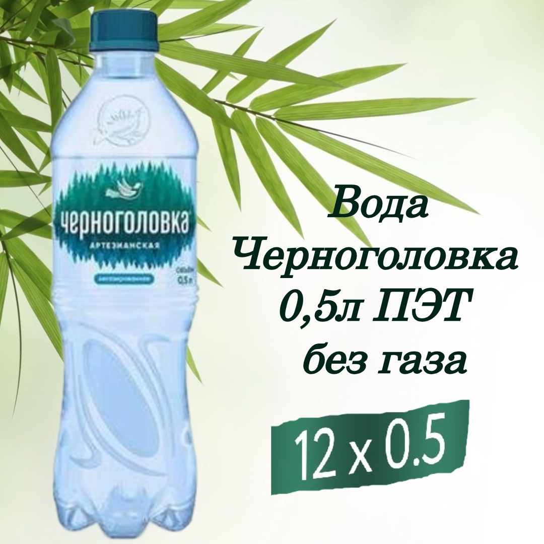 Черноголовка 0,5л без газа ПЭТ упаковка 12*0,5 л