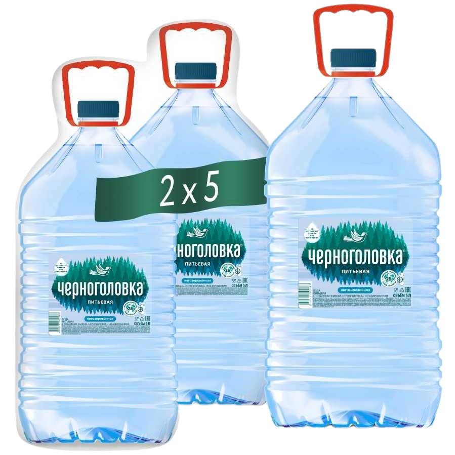 Черноголовка 5 л без газа ПЭТ упаковка 2*5 л
