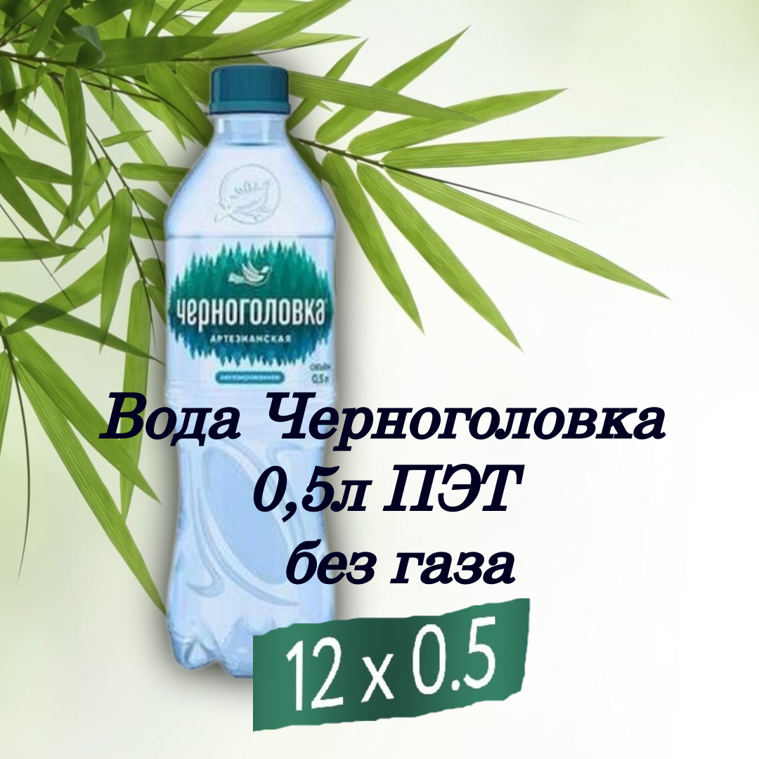 Черноголовка 0,5л без газа ПЭТ упаковка 12*0,5 л